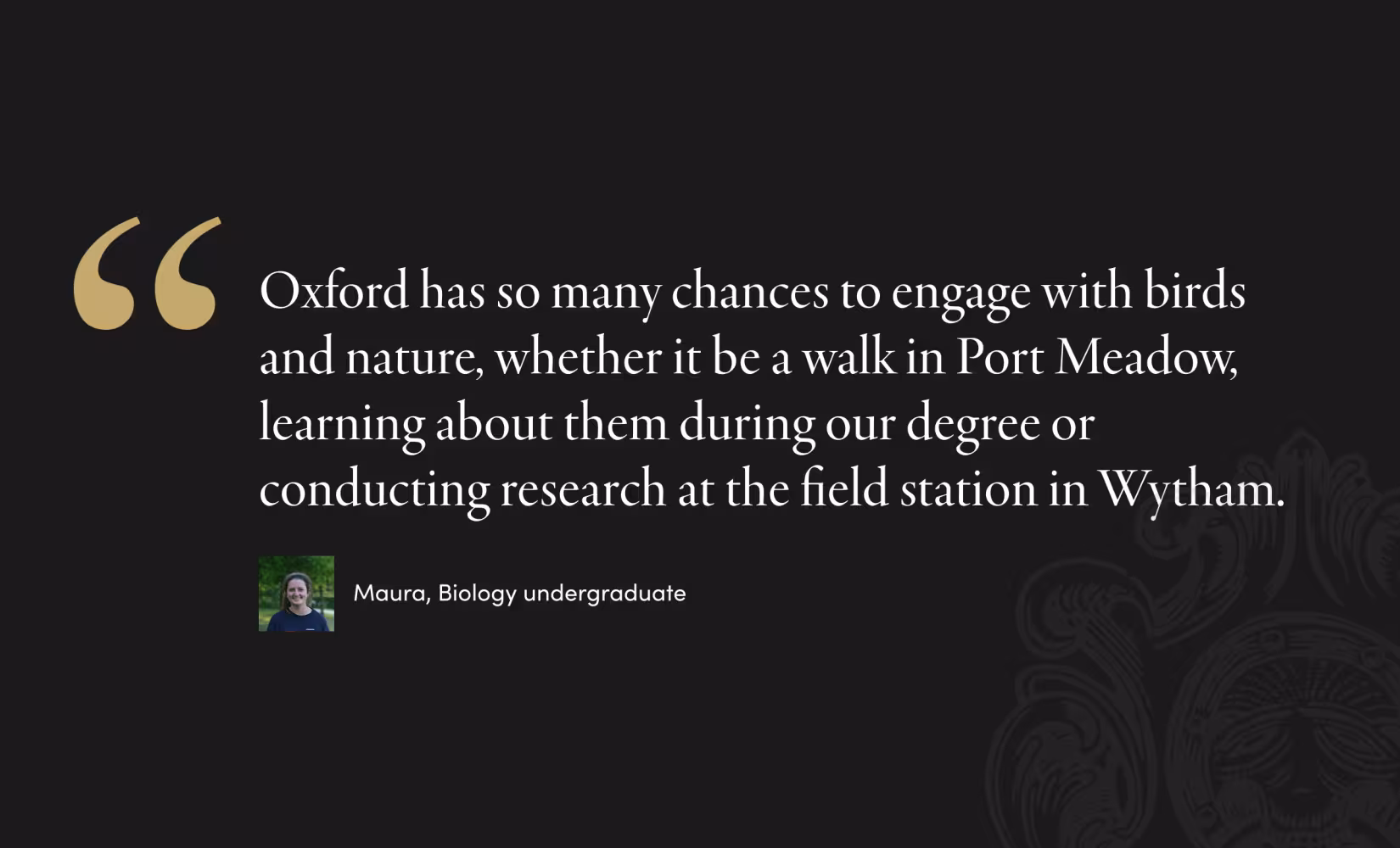 brasenose quote